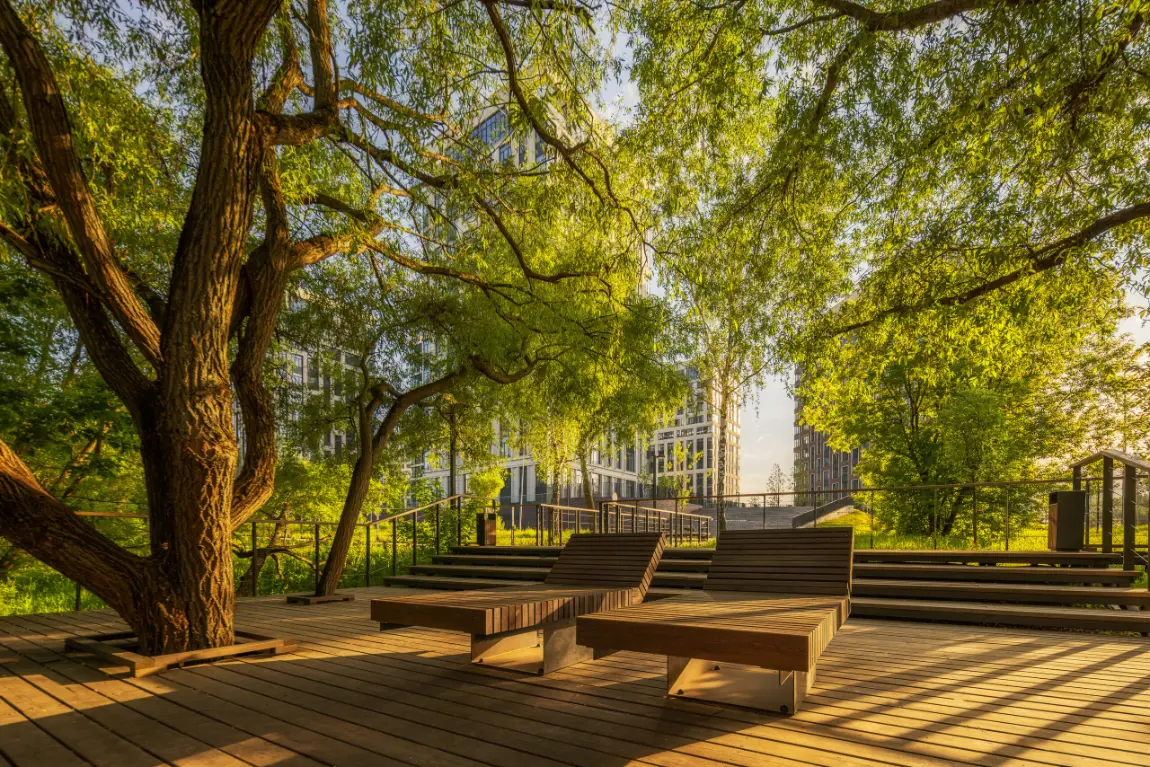 Старые деревья и скамьи в парке у ЖК Вест Гарден (West Garden)